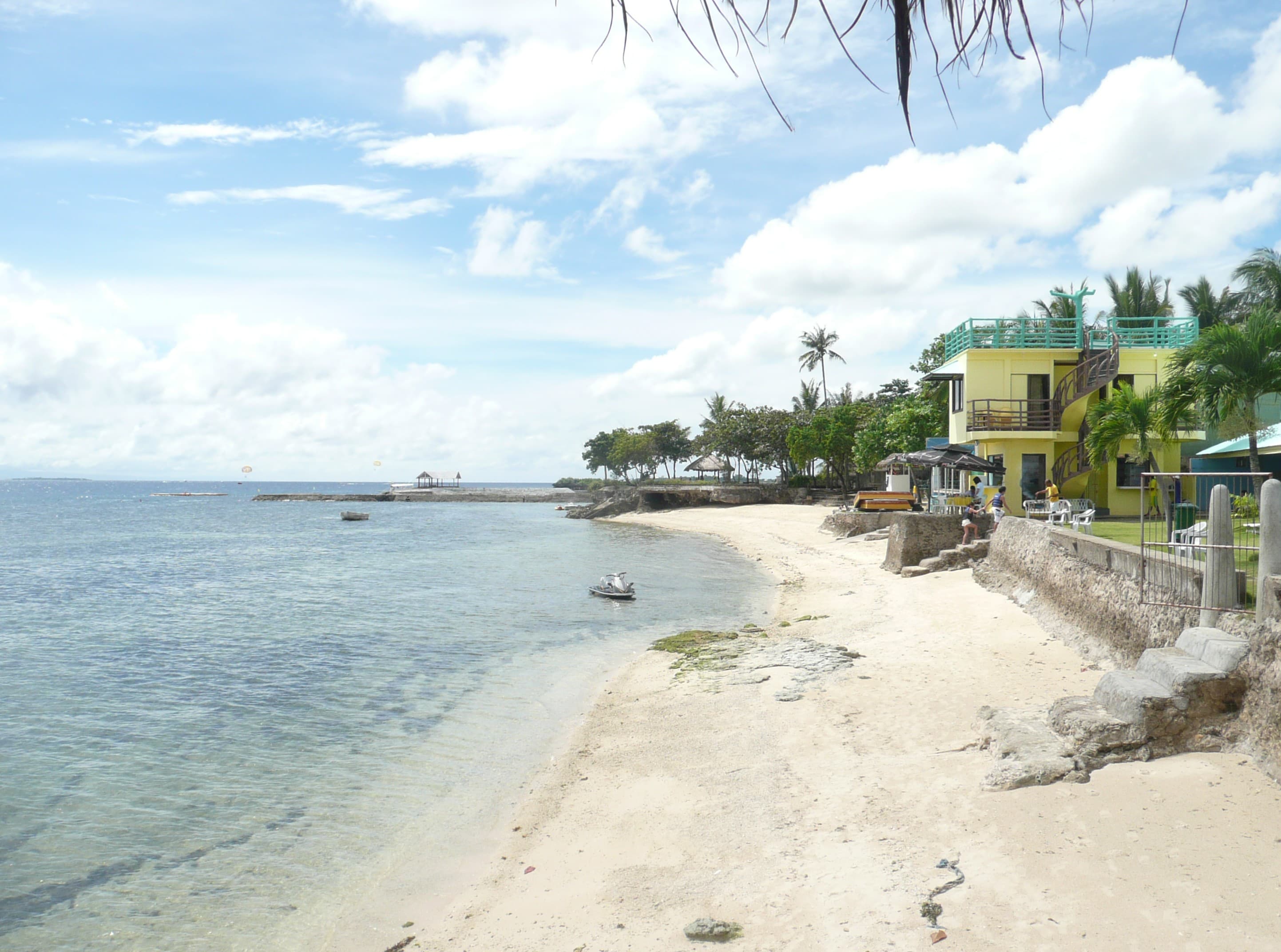 Bantayan Mangrove Forest