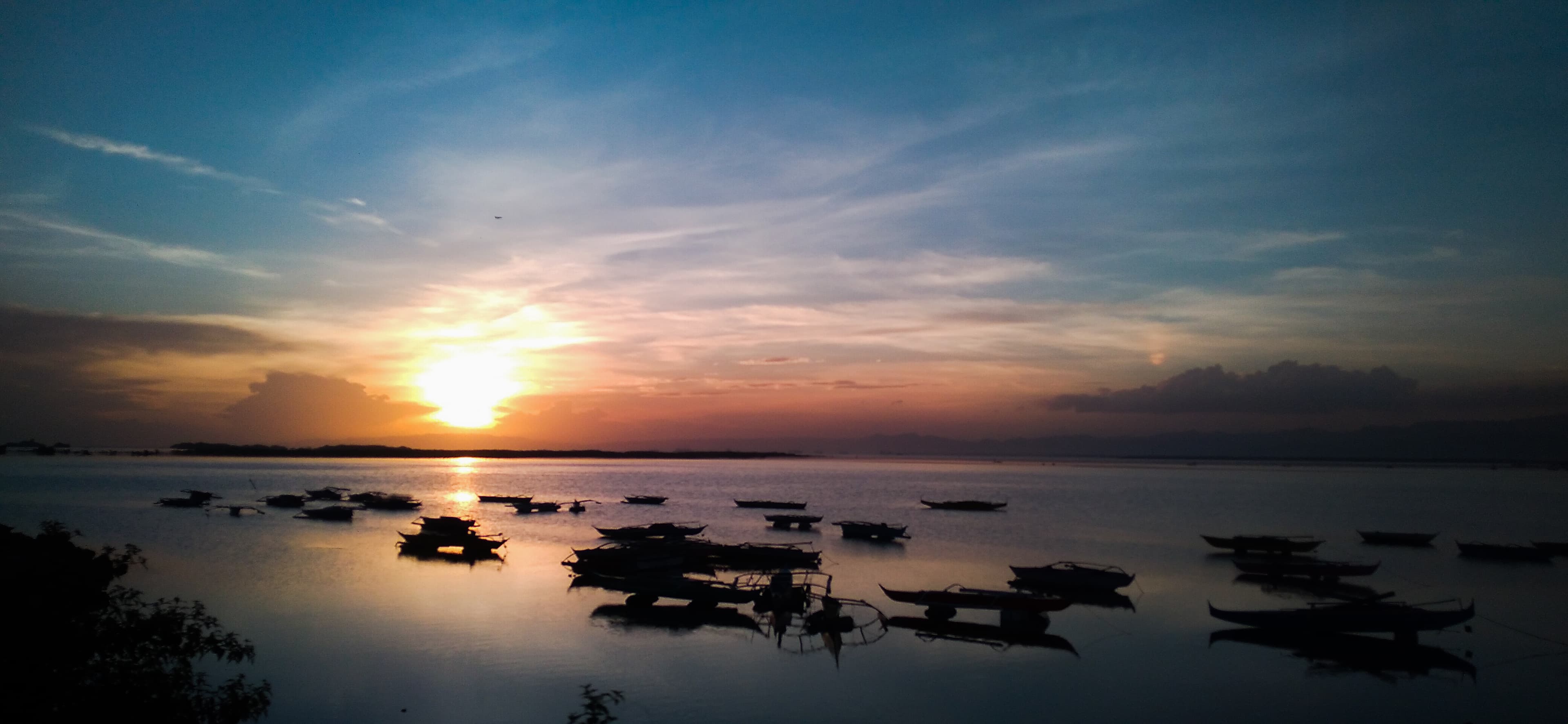 Day-as Mangrove Boardwalk